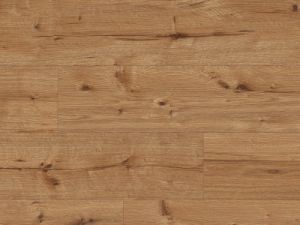 CLASSEN ARTEO 8 XL  4V 8mm - Dub ELBRUS 55086