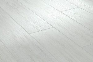 ARBITON, AMARON - Dub Alaskan CA102 